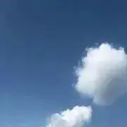 virevireの画像