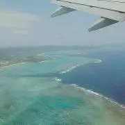 タバサの画像