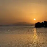 FTの画像