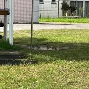 まるこ