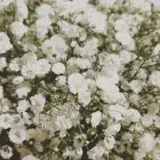 *hrm*の画像