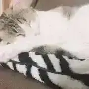 さちの画像