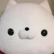 絵理の画像