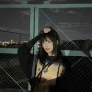 みかんの画像