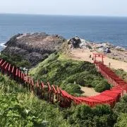 おもちの画像