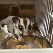 クロム