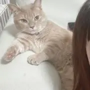 かりんの画像