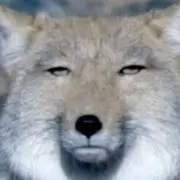 えぐちいの画像