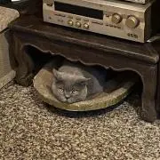 メイ