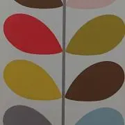こう