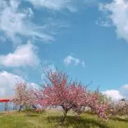hana☺︎の画像