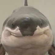 ここの画像