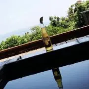 まゆの画像