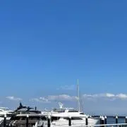 vの画像
