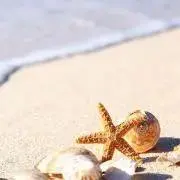 ちゃむの画像