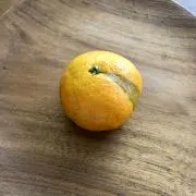テッコロの画像
