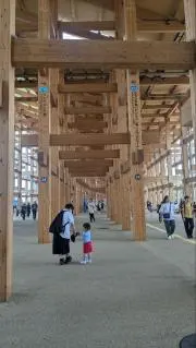 のんたん！の画像