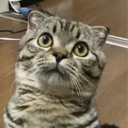 はると(プロフ必ず読んで下さい！)の画像