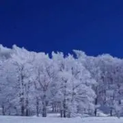 kaka✨お値下げお気軽に✨の画像