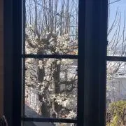 るのえ