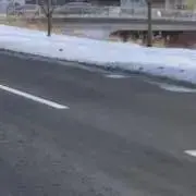 みかん大福の画像