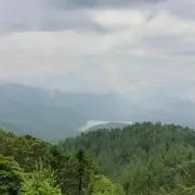 グラスオニオンの画像
