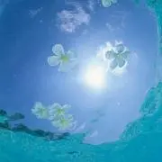 なぎ