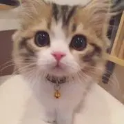❤︎ F ❤︎