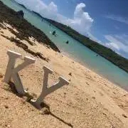 断捨離中　花の画像
