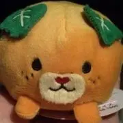 ももここあの画像
