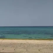 ゆの画像