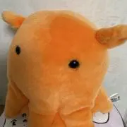 もふもふ⭐︎プロフ確認感謝⭐︎の画像