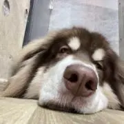 なやっちん