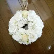 ぽんたつの画像