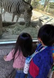 ほり