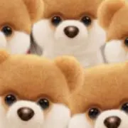 まる