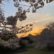 おさる