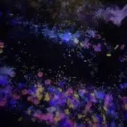 kotaの画像