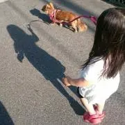 るか