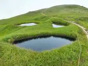 キヨマルの画像