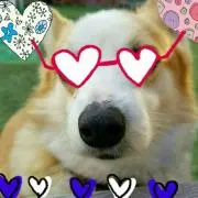 おくり