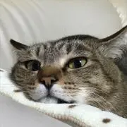 土瓶マスクの画像