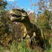 売りきりたい！！即購入大歓迎★★