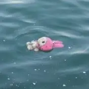 ^ ^
