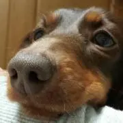 yunyunの画像