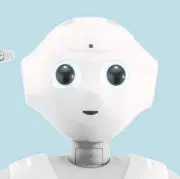 ペッパーくん
