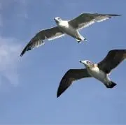 そら