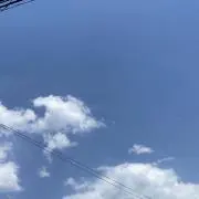 ゆうの画像