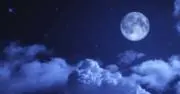 びーだま