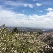moの画像